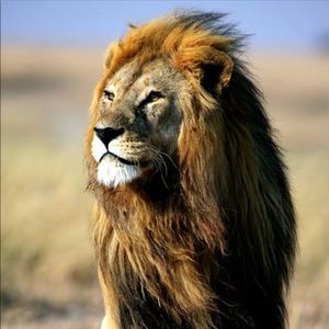 Meet your Posher, Juan